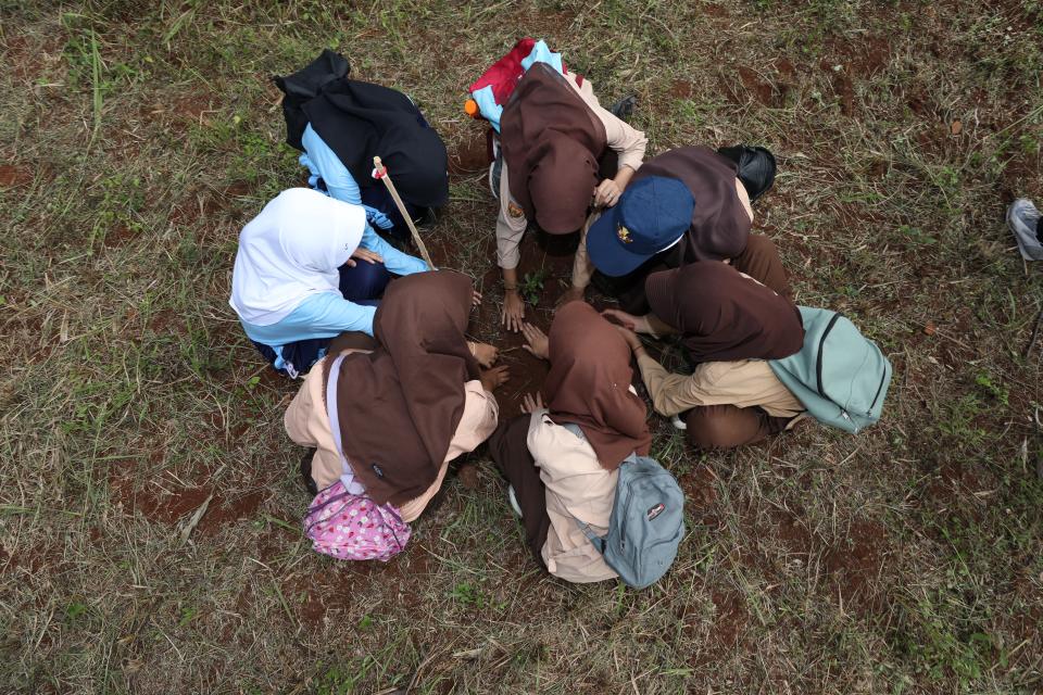 Anggota Pramuka dan siswa-siswi SMA Negeri Cimanggung menanam bibit pohon ketapang kencana dalam kegiatan Pemulihan Pascabencana Longsor Melalui Penanaman 1.000 Pohon Pada Kegiatan Budaya Sadar Bencana di Desa Cihanjuang, Kecamatan Cimanggung, Kabupaten Sumedang, Jawa Barat, Minggu (10/7).